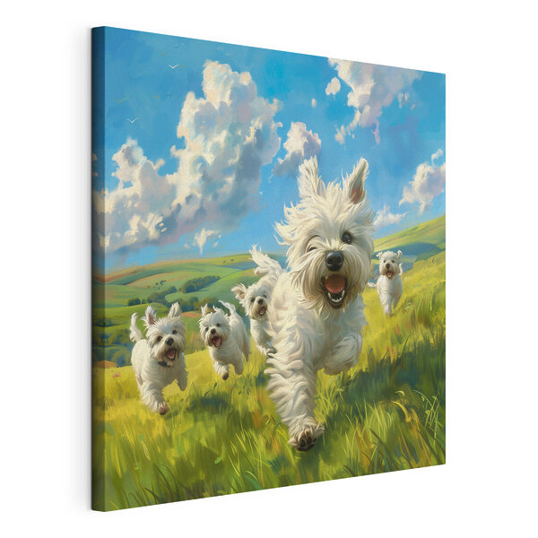 Un gruppo di cani bianchi che corrono in un campo Quadri Un gruppo di cani bianchi che corrono in un campo