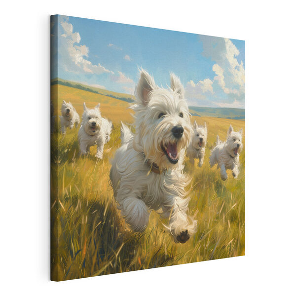 Un gruppo di cani bianchi che corrono in un campo Quadri Un gruppo di cani bianchi che corrono in un campo