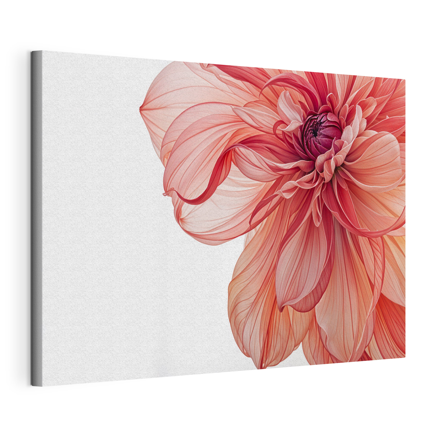Delicate petals in soft hues Delicate petals in soft hues