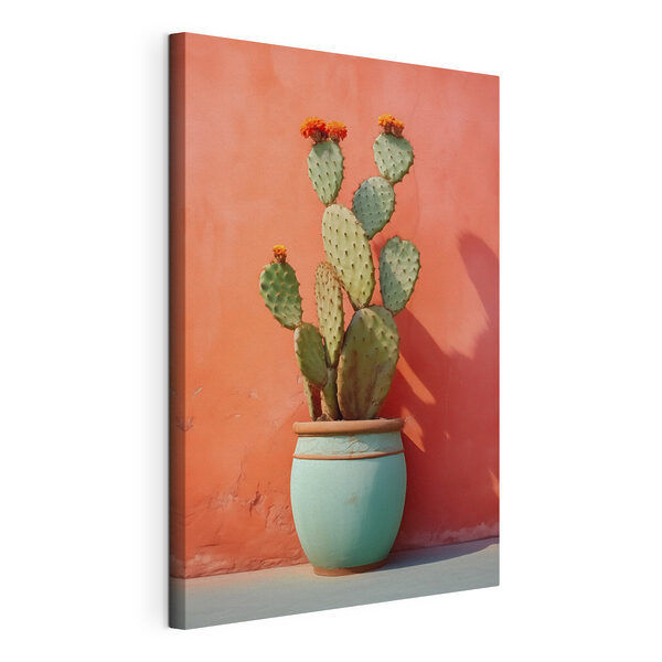 Cactus in vaso appoggiato al muro Quadri Cactus in vaso appoggiato al muro