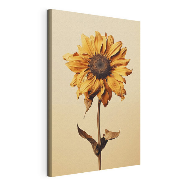 Quadri Quadri Girasole con il centro marrone (COD: s40882)