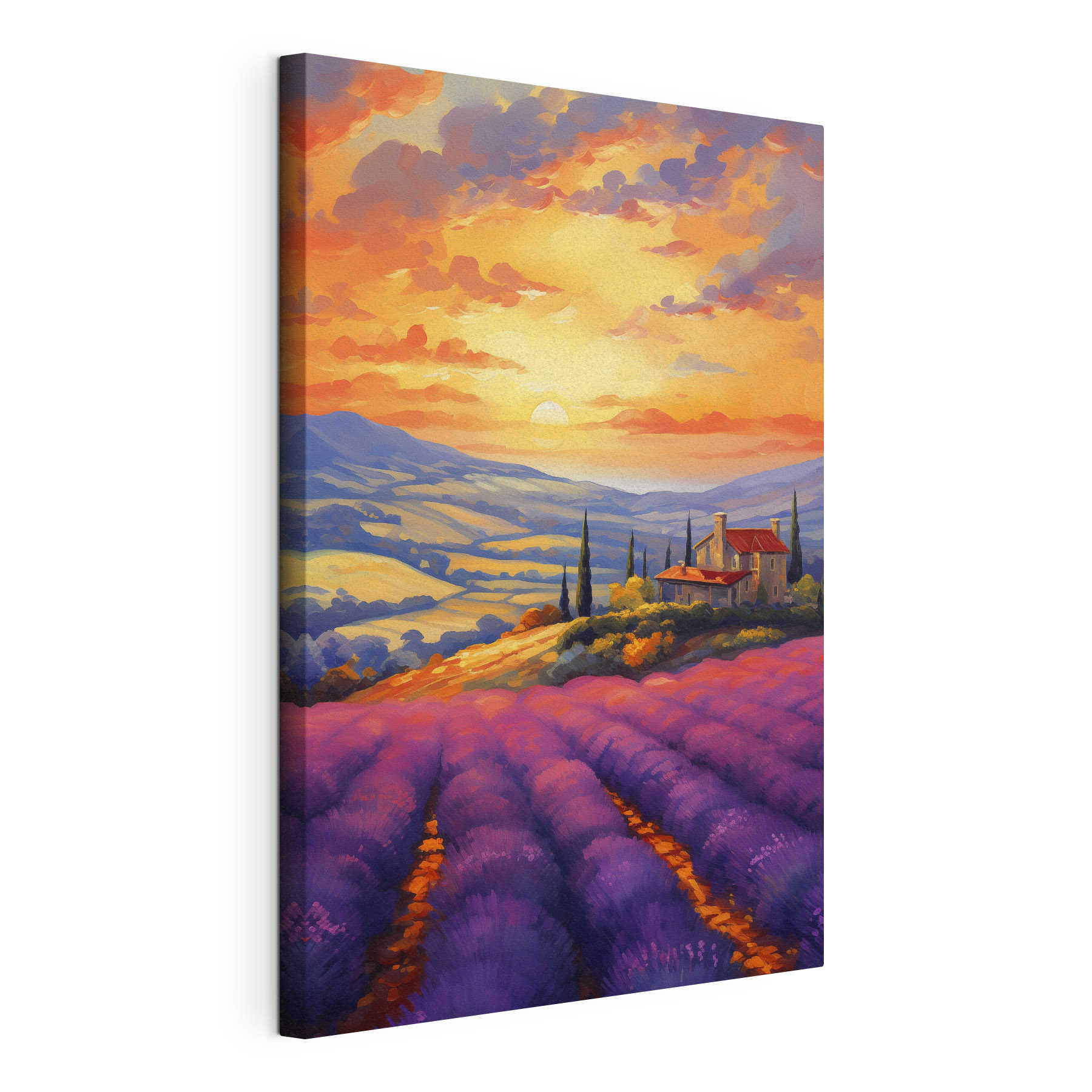 House on a hill with lavender fields