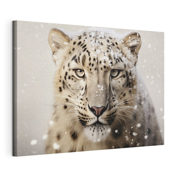 Quadri Leopardo delle nevi con la neve sulla testa