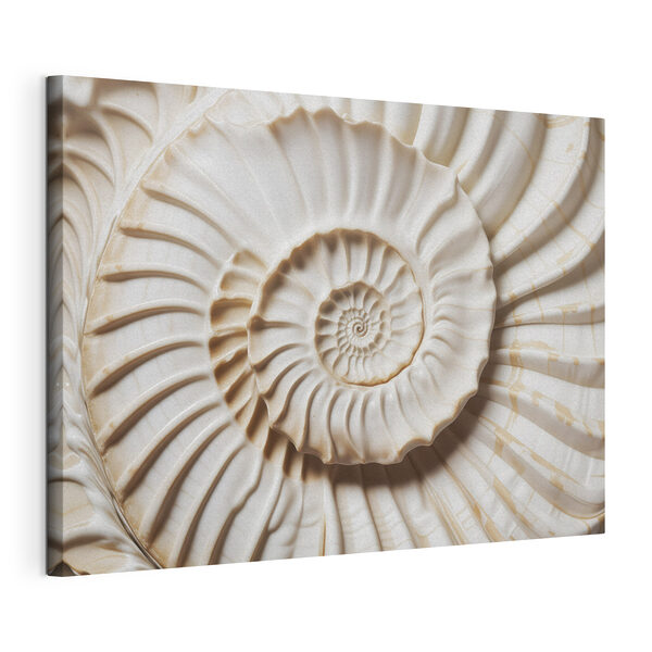 Quadri L'elegante motivo a spirale del guscio risalta magnificamente