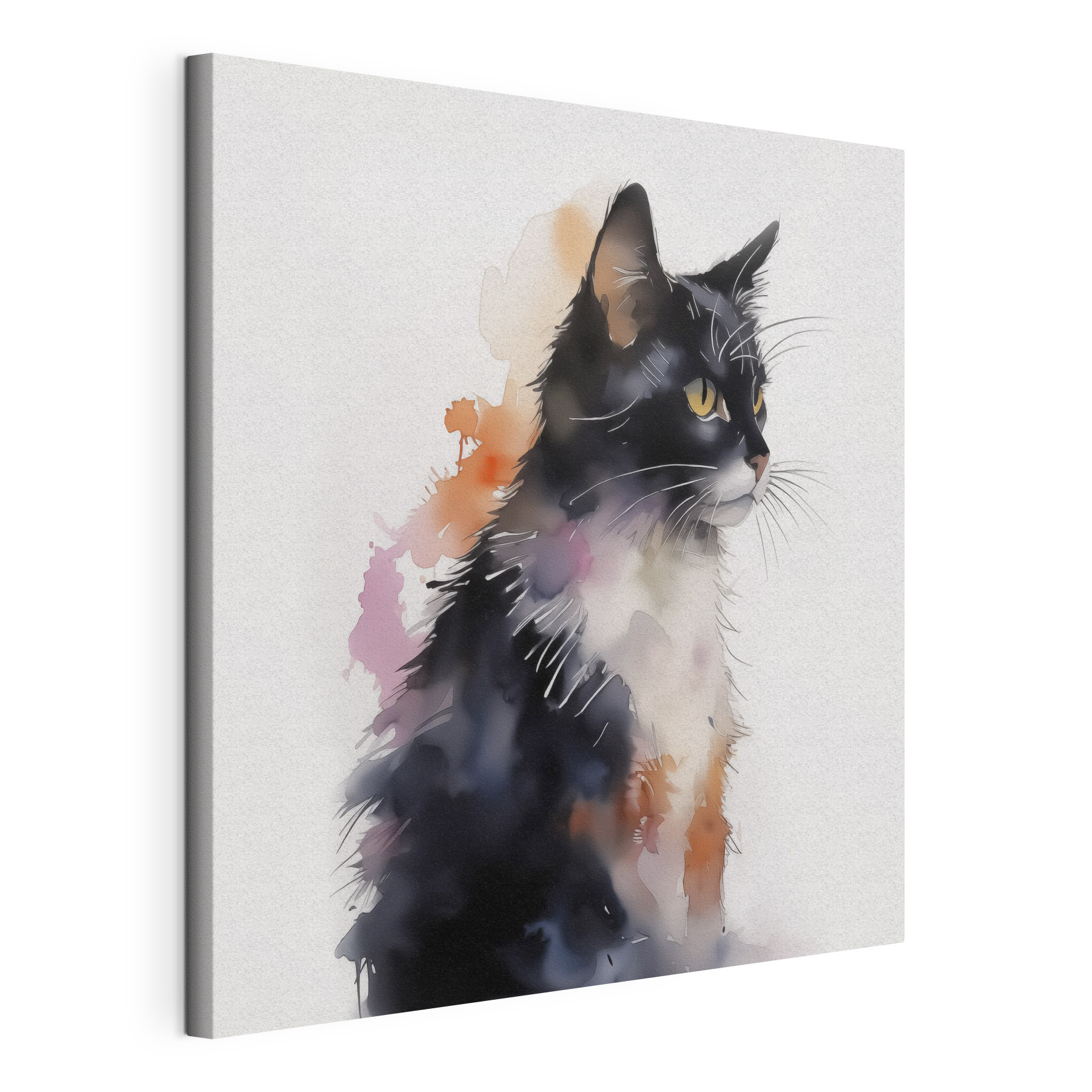 Cat with a white and black face