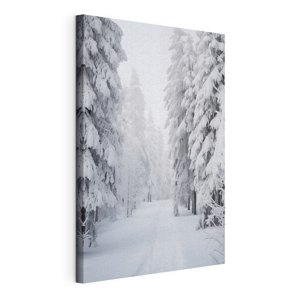 Quadri Sentiero innevato con alberi (COD: s42153) Quadri Quadri Sentiero innevato con alberi (COD: s42153)