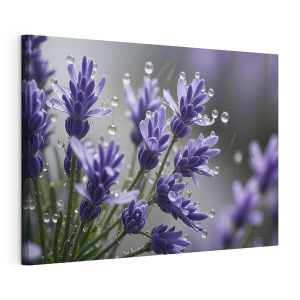 Quadri Petali delicati decorati con goccioline