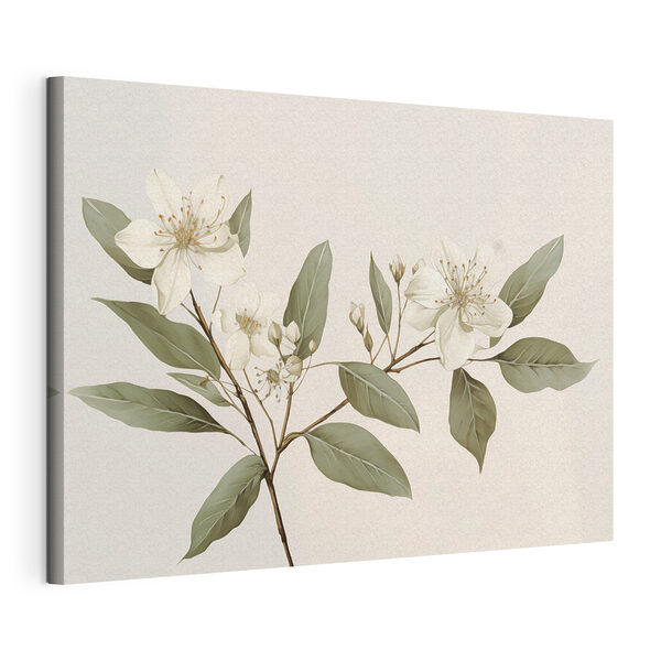 Fiori bianchi e foglie su un ramo Quadri Fiori bianchi e foglie su un ramo