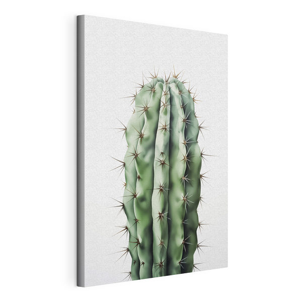 Cactus con le spine Quadri Cactus con le spine