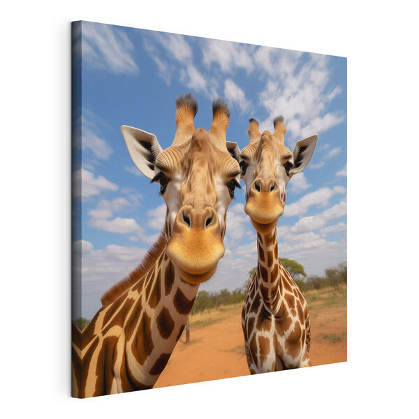 Quadri Due giraffe in piedi in un campo (COD: s43027) Quadri Quadri Due giraffe in piedi in un campo (COD: s43027)