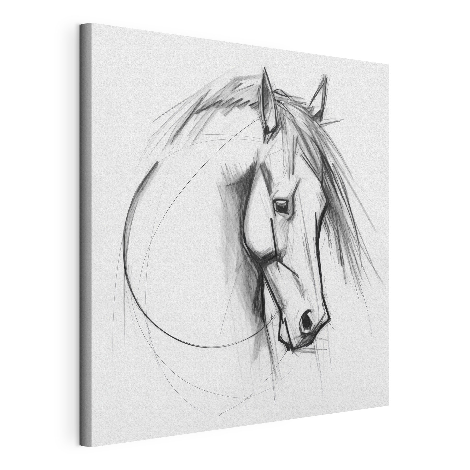 Drawing of a horse Drawing of a horse