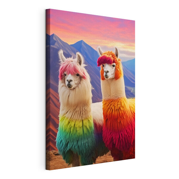 Quadri Due lama con il pelo dai colori dell'arcobaleno
