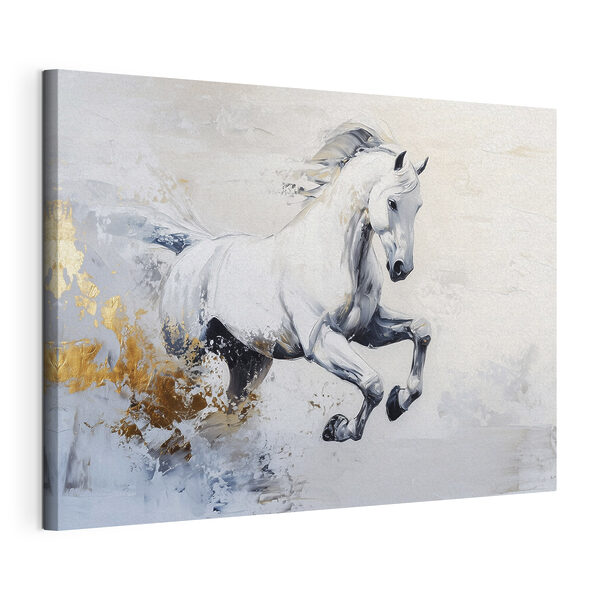 Quadri Quadri Dipinto raffigurante un cavallo bianco (COD: s43498)