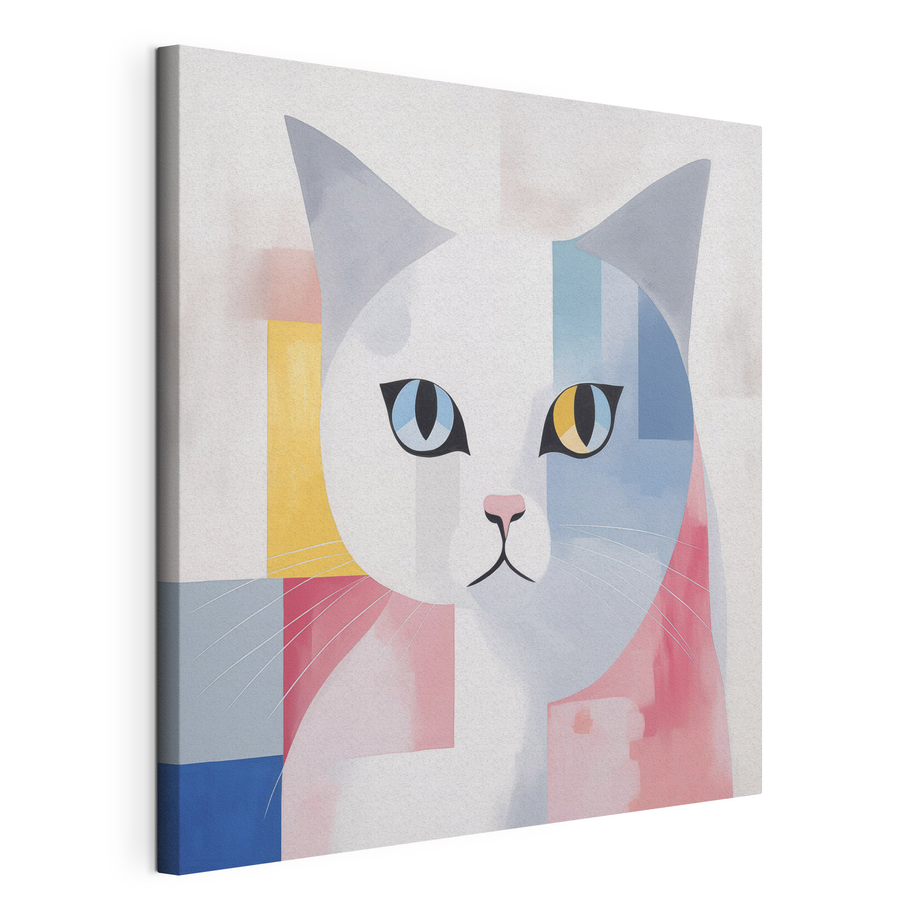 Cat with colorful squares Cat with colorful squares