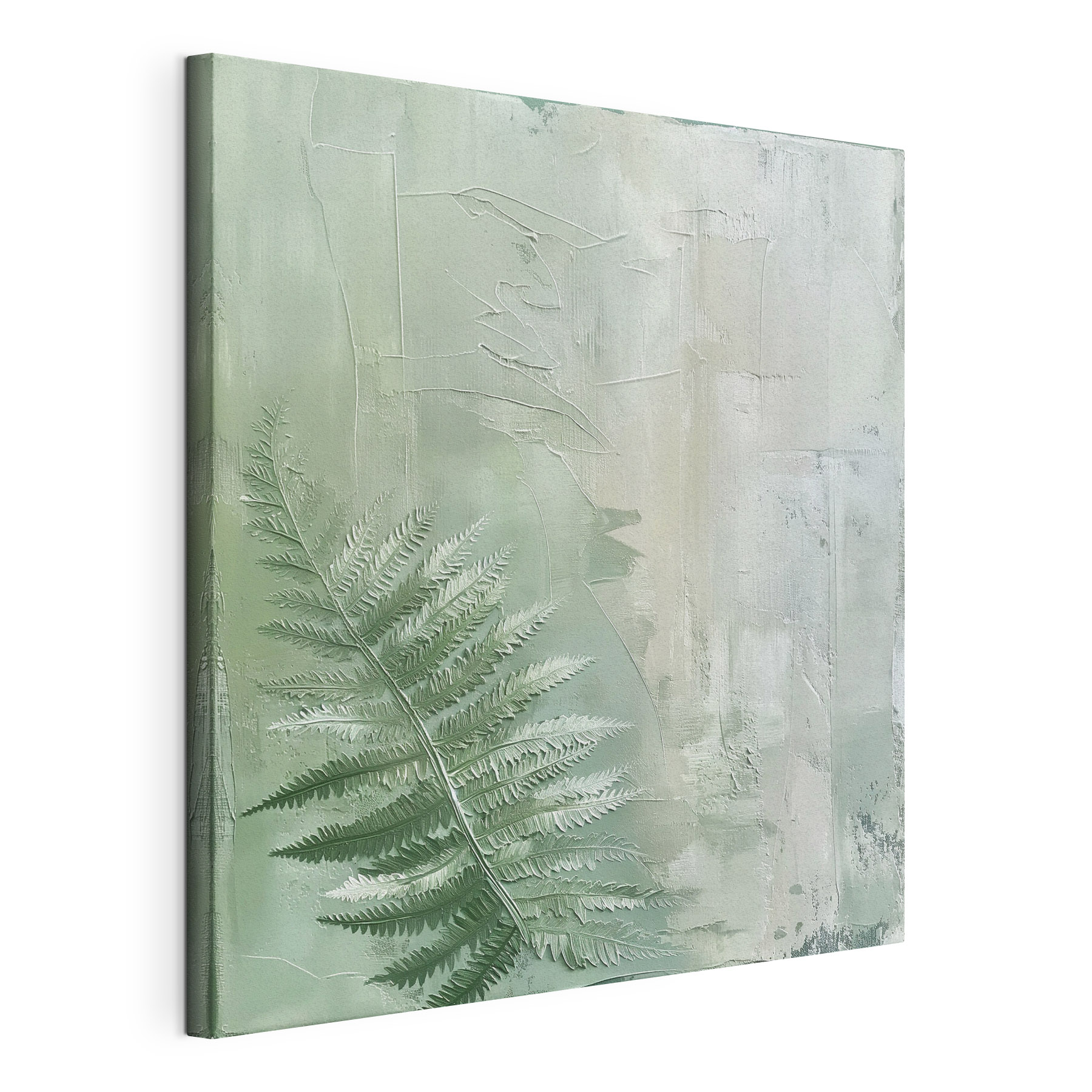 Fern leaf on a glass surface Fern leaf on a glass surface