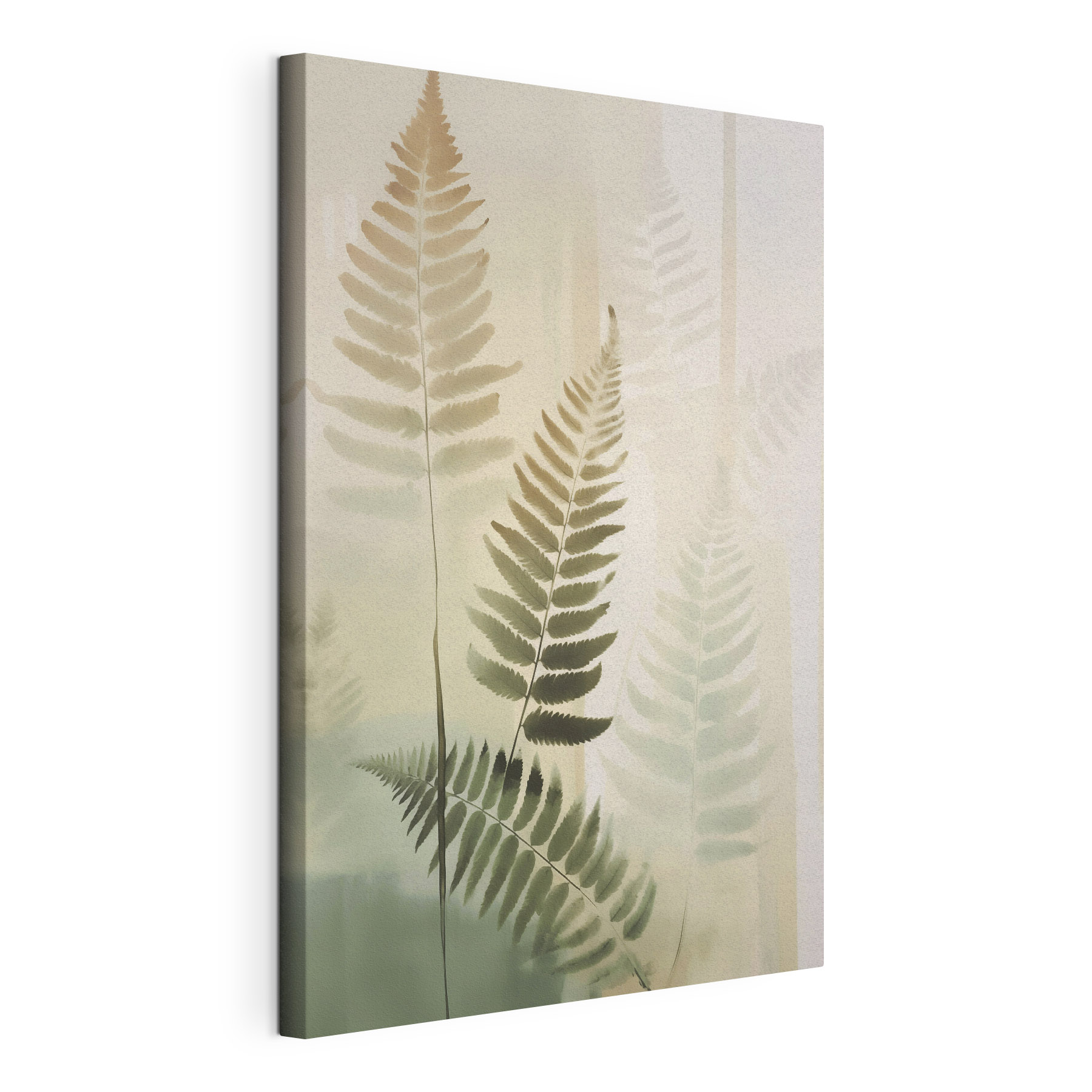Fern leaves on a white background Fern leaves on a white background