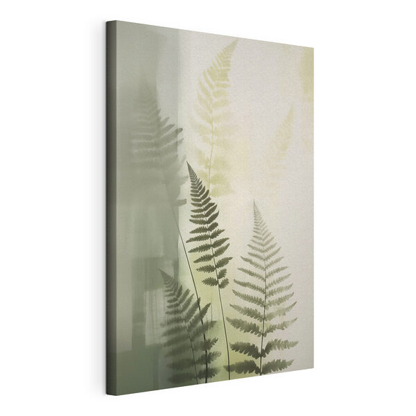 Fern leaves on a white background