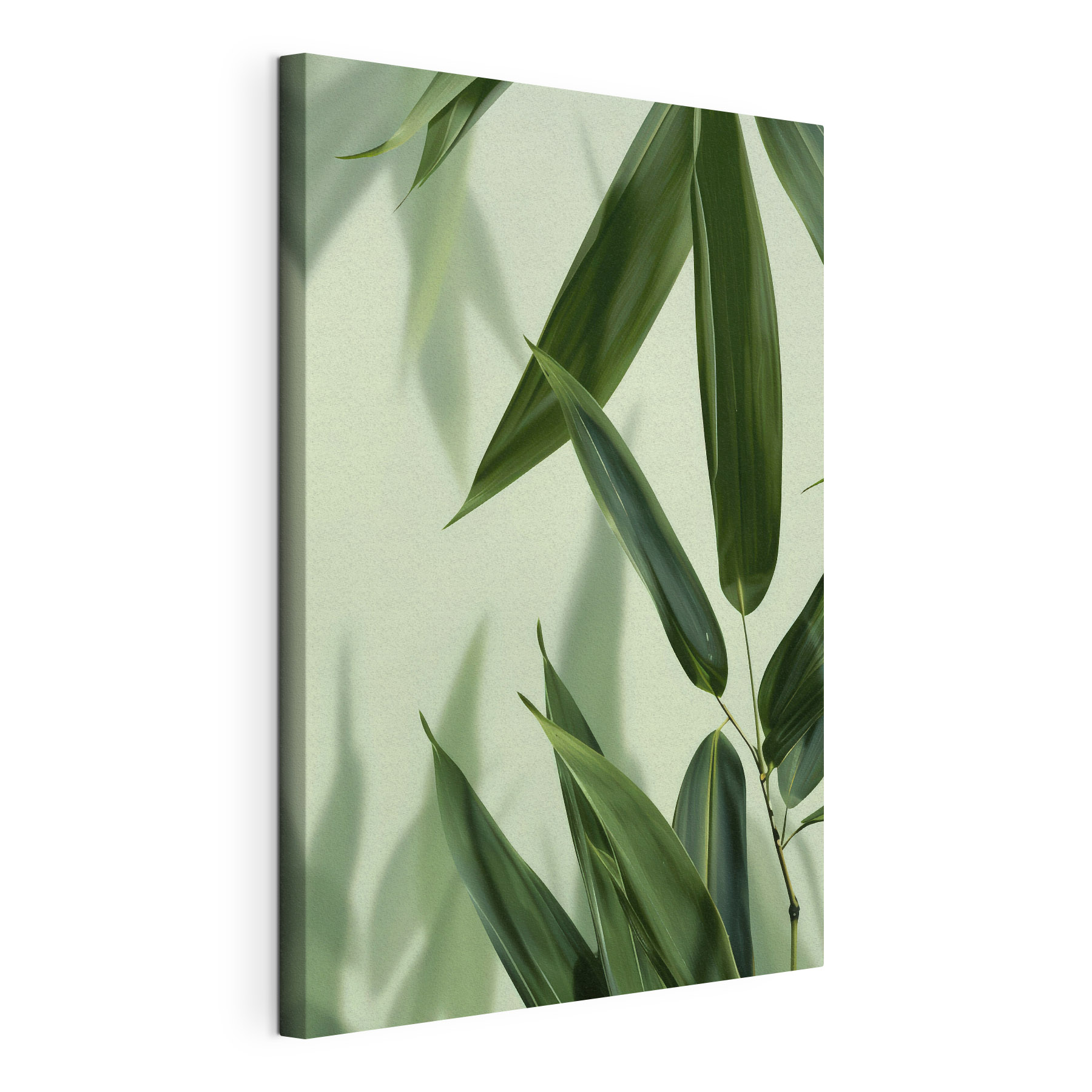 Delicate leaves on a soft backdrop Delicate leaves on a soft backdrop