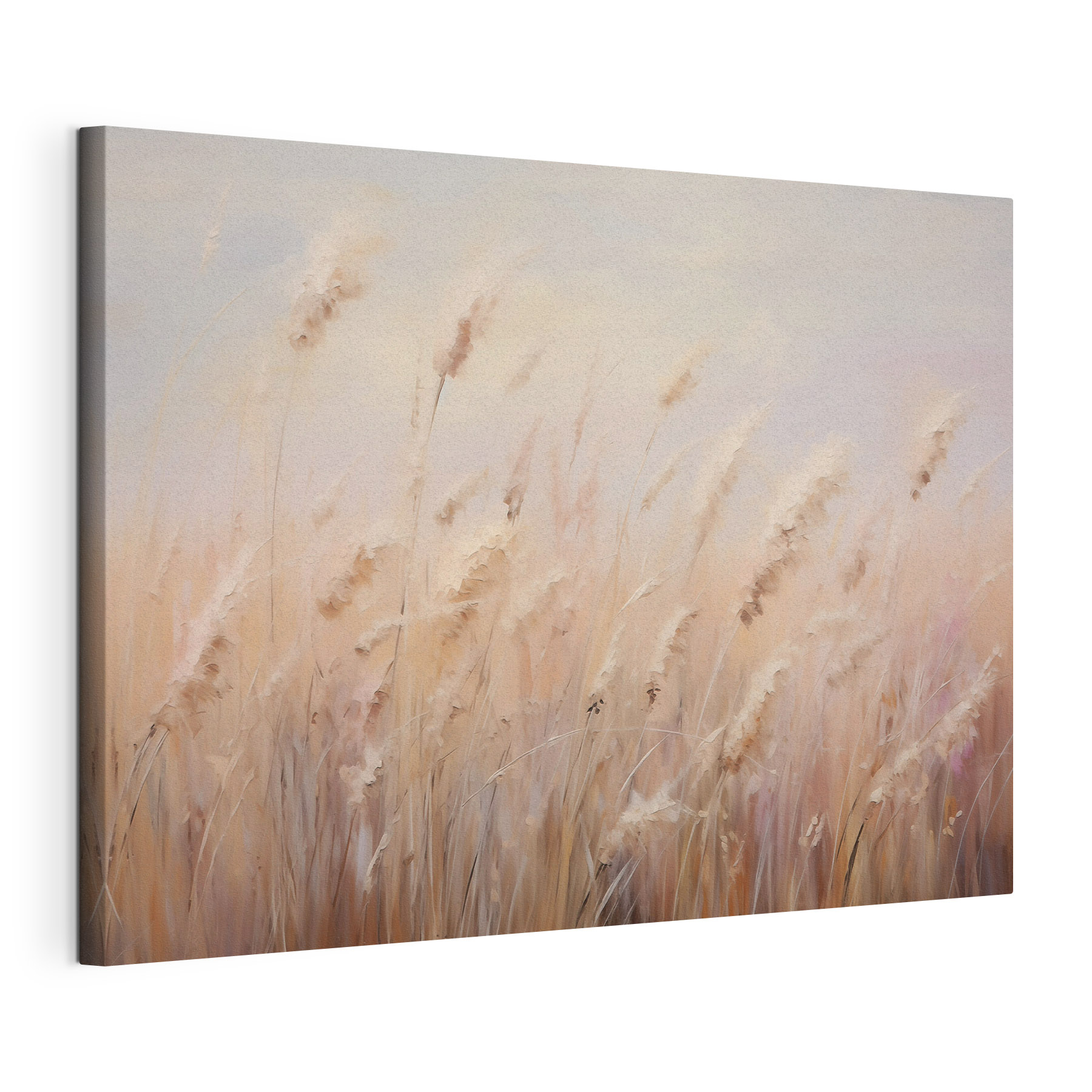 Field of tall grass