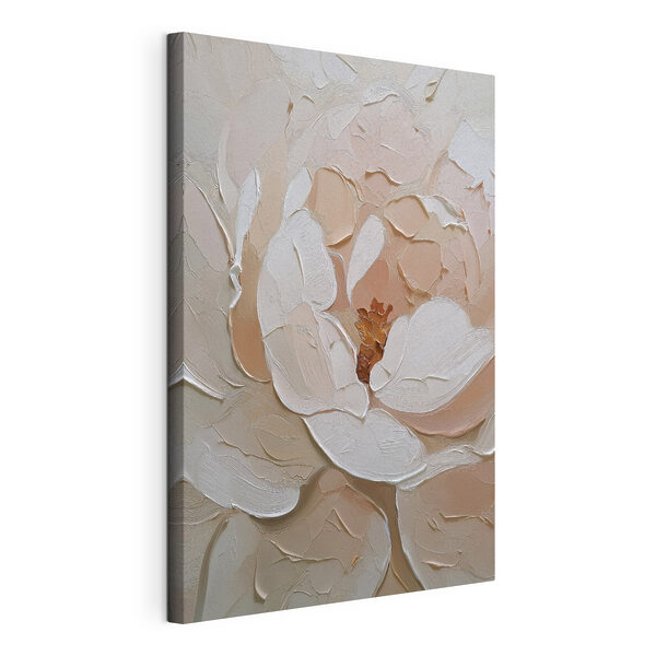 Beautiful layers of soft petals Beautiful layers of soft petals