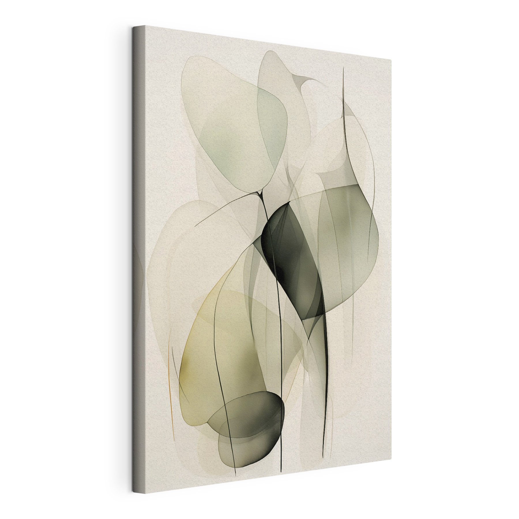 Ethereal flow of soft forms
