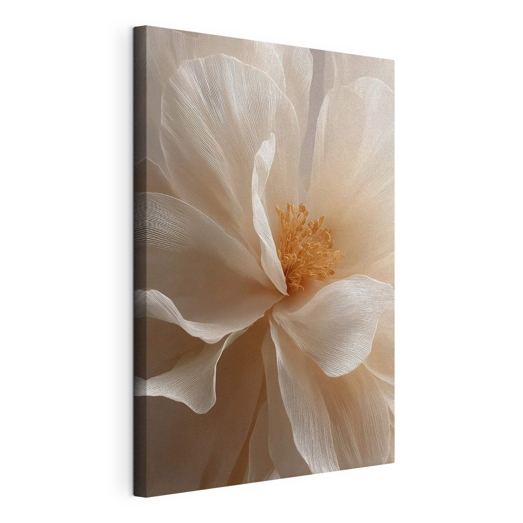 Delicate petals in soft hues