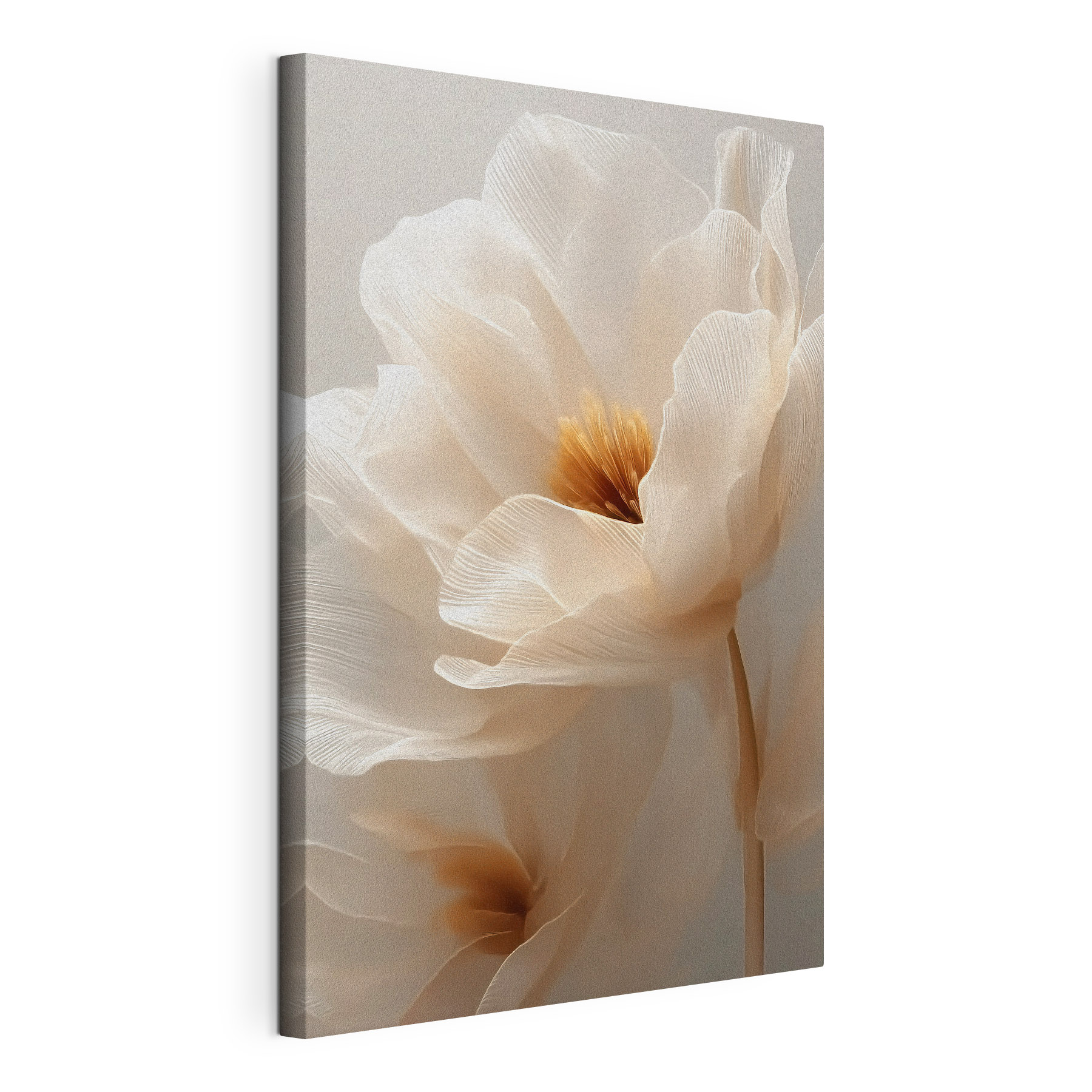 Delicate petals in soft hues Delicate petals in soft hues