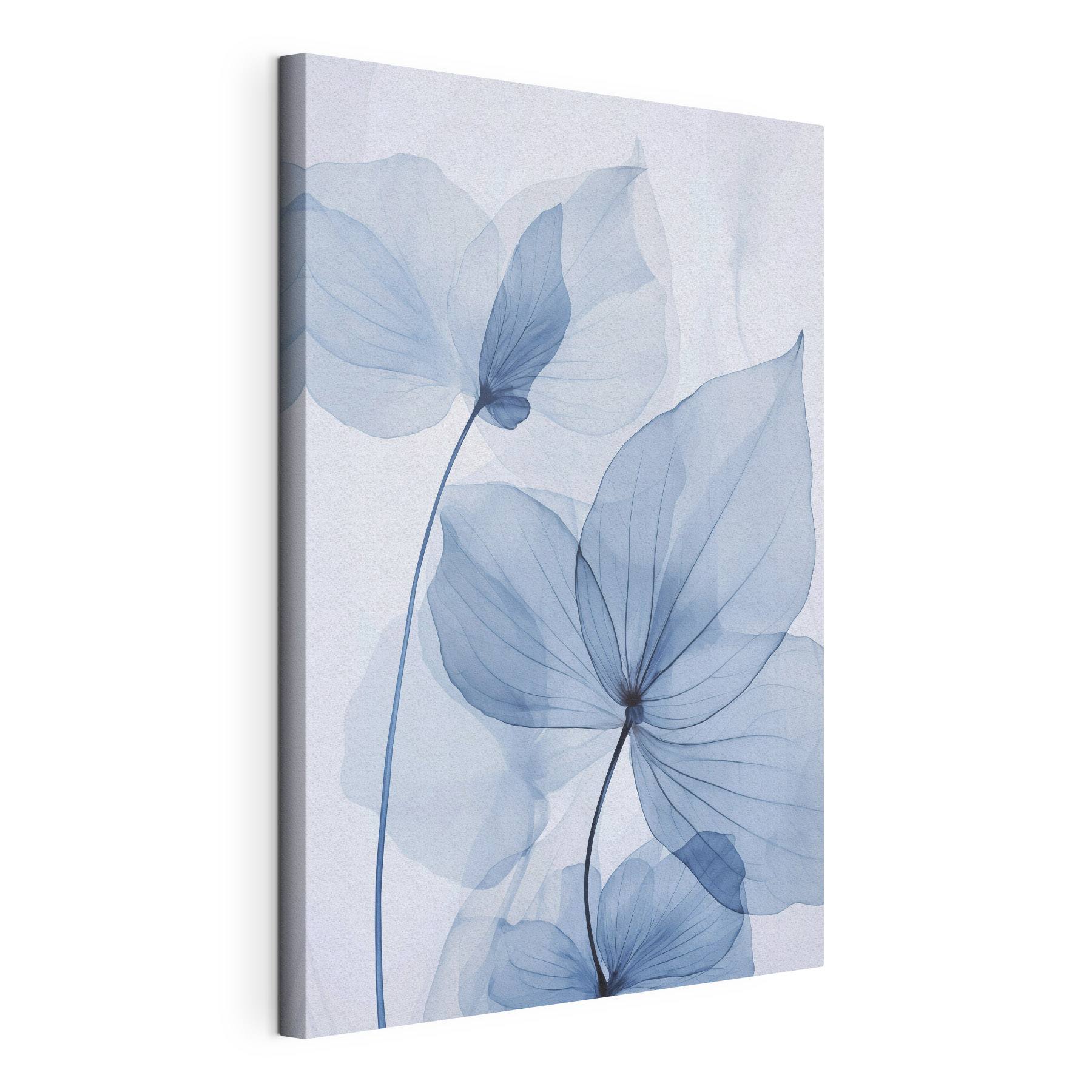 Delicate blue leaves on white backdrop