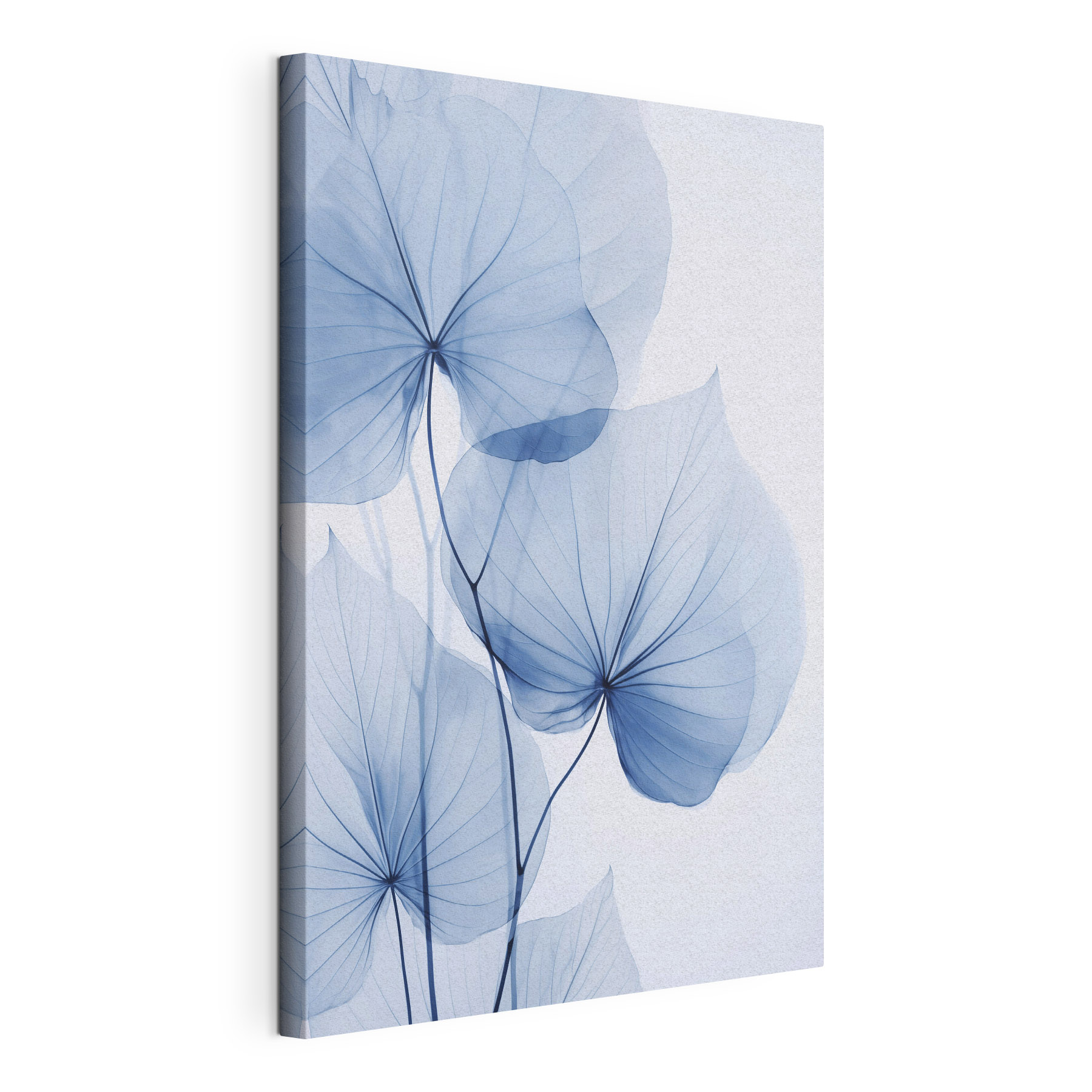 Delicate blue leaves on pale background