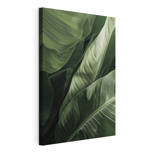 Lush green leaves in gentle light Lush green leaves in gentle light