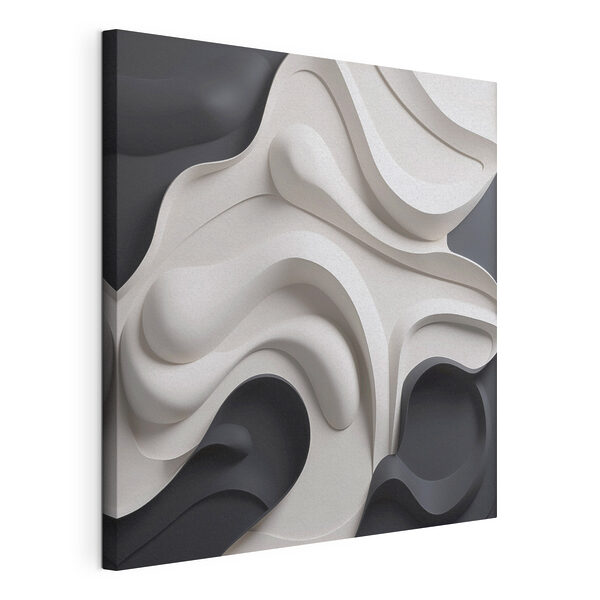 Quadri Forme ondulate in bianco e nero