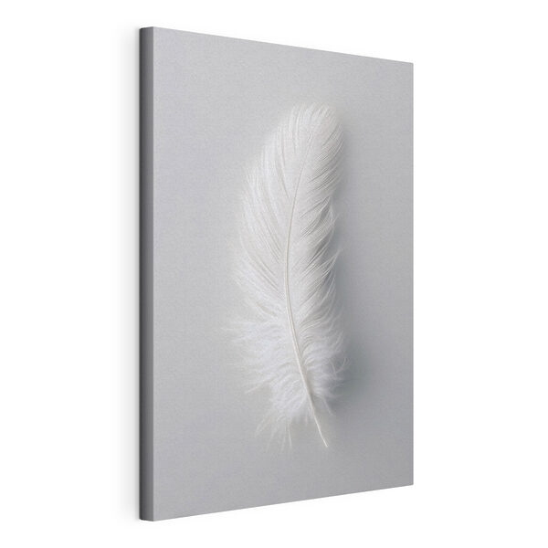 White feather on a white background White feather on a white background