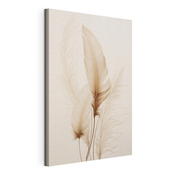 Delicate feathers against soft backdrop Delicate feathers against soft backdrop