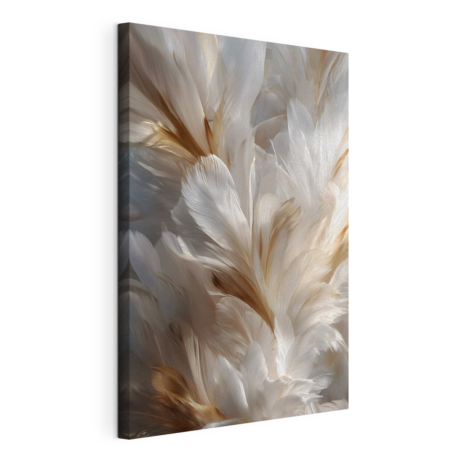 Delicate feathers in gentle hues