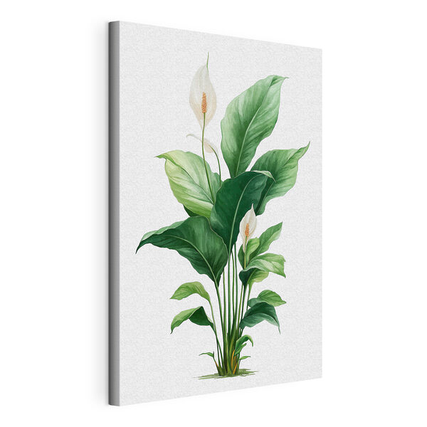 Pianta con fiori bianchi e foglie verdi Quadri Pianta con fiori bianchi e foglie verdi