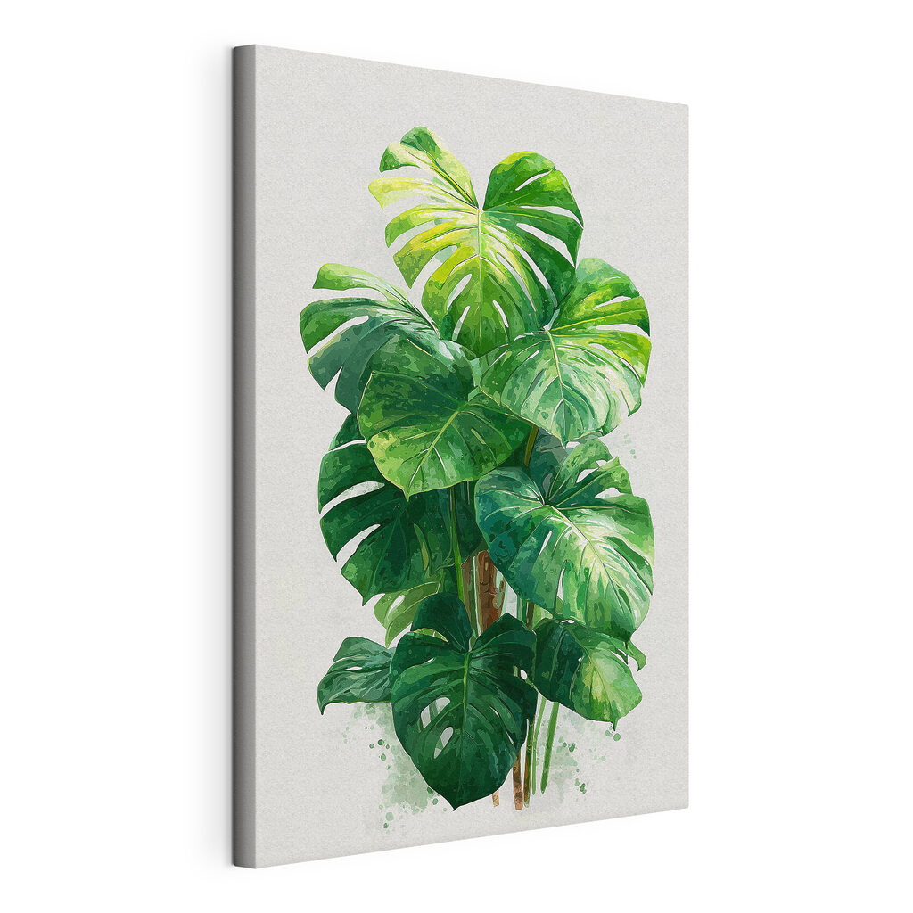 Large green plant with large leaves