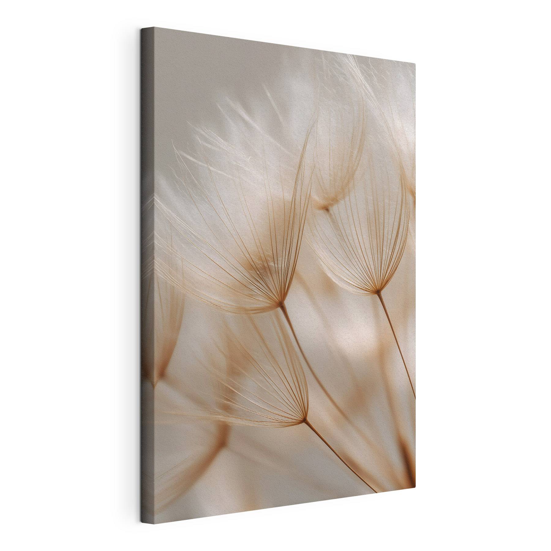 Delicate wisps dancing in soft light
