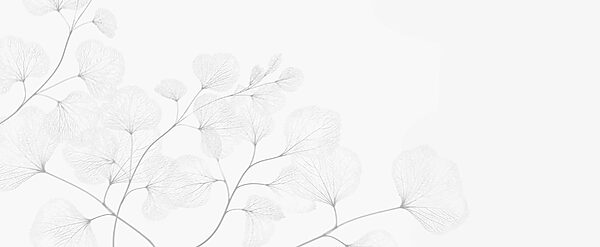 White leafy plant with thin branches