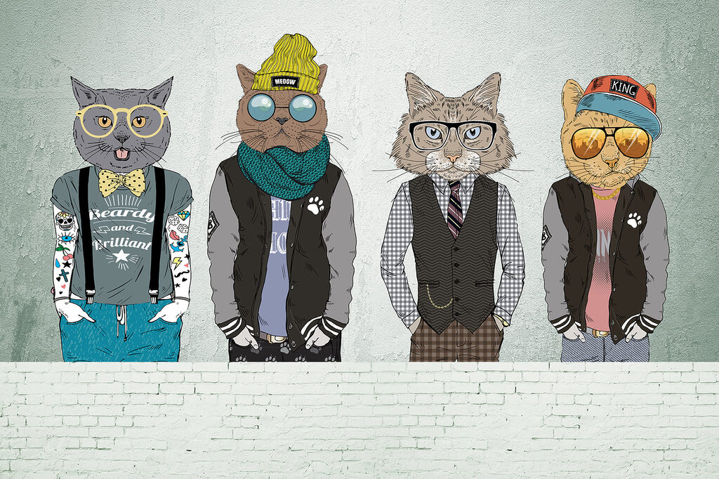 Group of cats wearing clothes