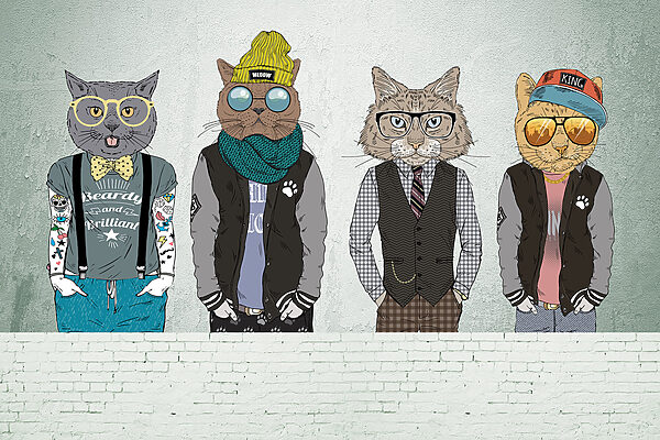 Group of cats wearing clothes