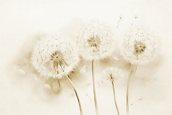 Group of dandelions with seeds flying