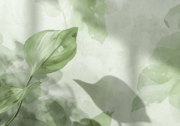 Green leaf on a white surface