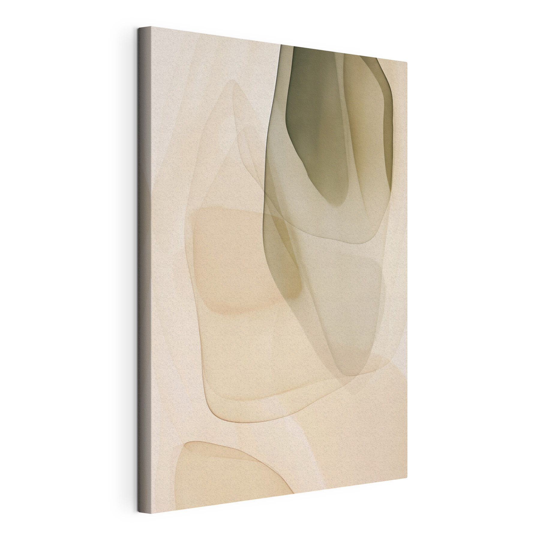 Soft curves in gentle hues