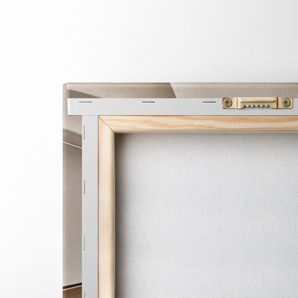 Gentle curves in soft tones