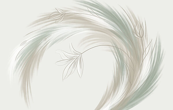 Drawing of a plant
