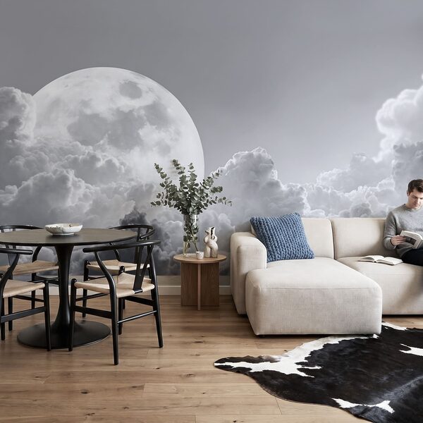 Luna piena nel cielo Luna piena nel cielo