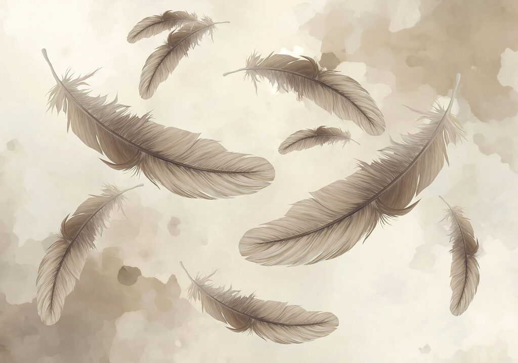Group of feathers floating in the air Group of feathers floating in the air