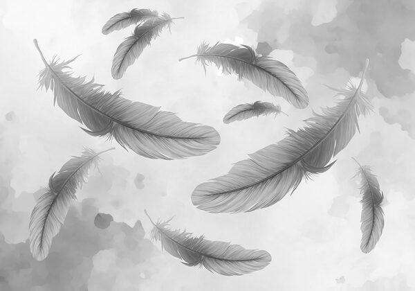 Group of feathers floating in the air Group of feathers floating in the air