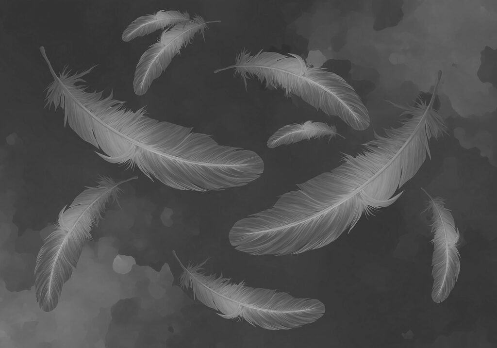 Group of feathers floating in the air Group of feathers floating in the air