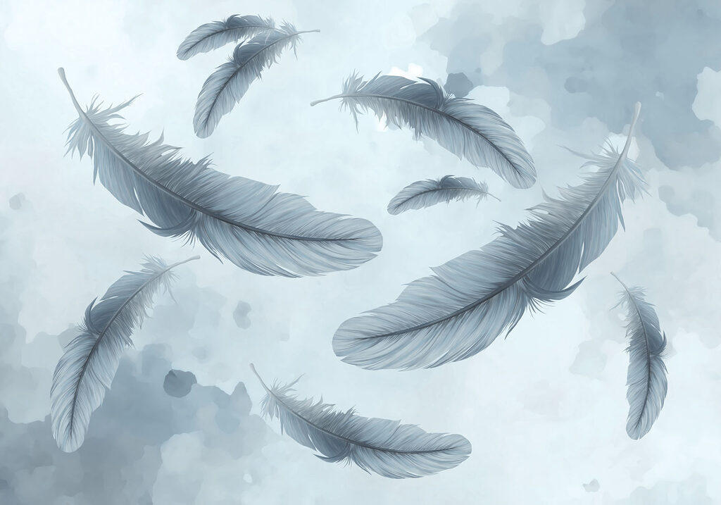Group of feathers floating in the air Group of feathers floating in the air